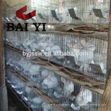 Cage à lapins en acier inoxydable 24 portes
